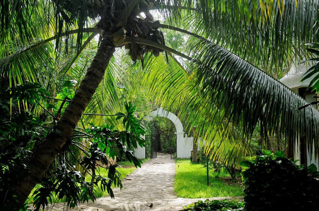 Amarte Maroma Hotel Eco Boutique Spa Punta Maroma Экстерьер фото