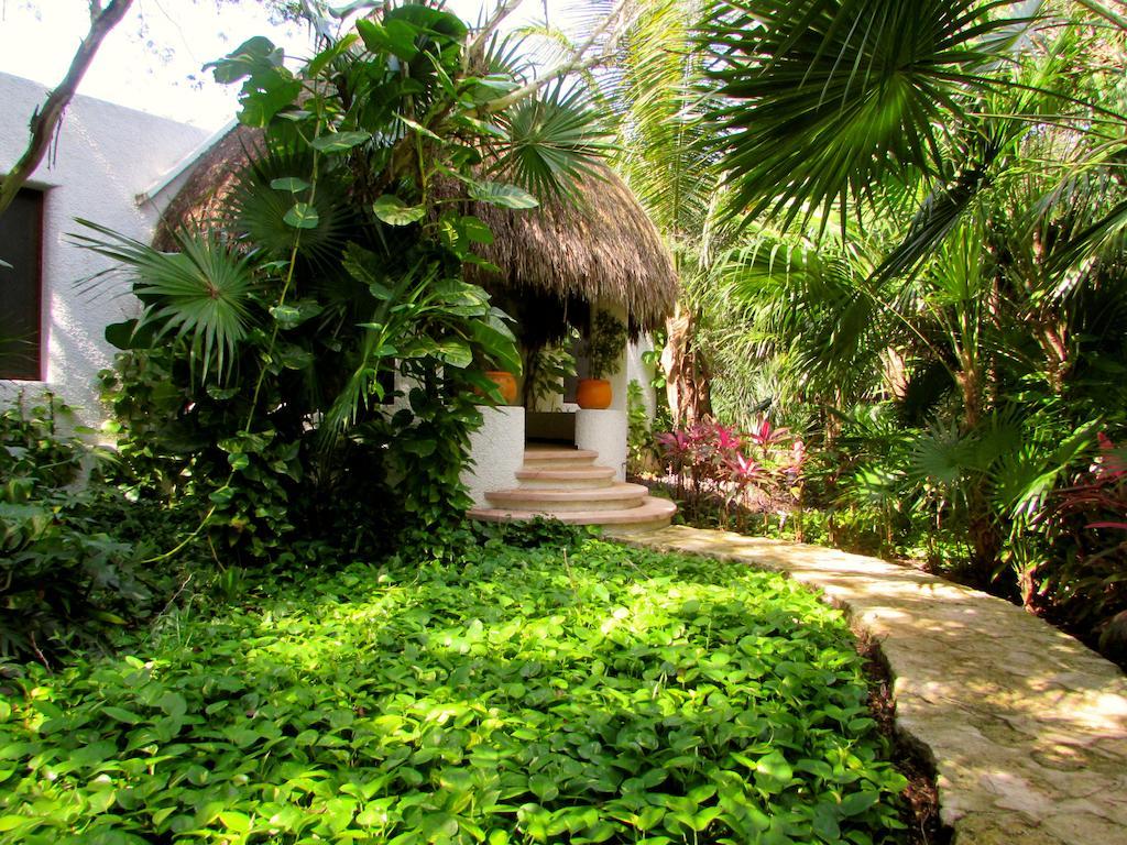 Amarte Maroma Hotel Eco Boutique Spa Punta Maroma Экстерьер фото